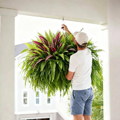 🔥 Last Day Sale Price | UV Resistant Artificial Fern And Red Dracaena