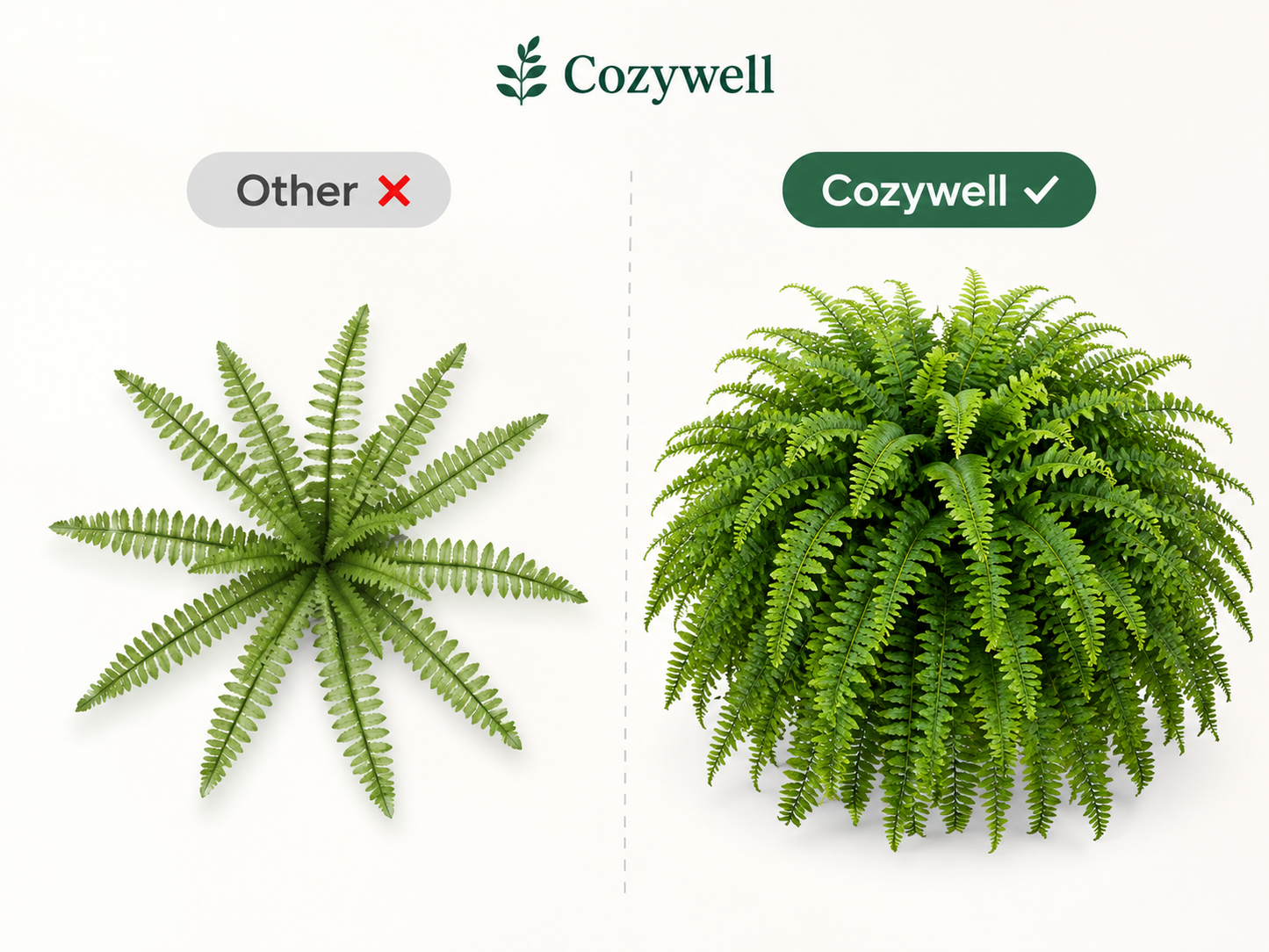 🔥 Last Day Sale Price | Glowing Boston Ferns with Lights