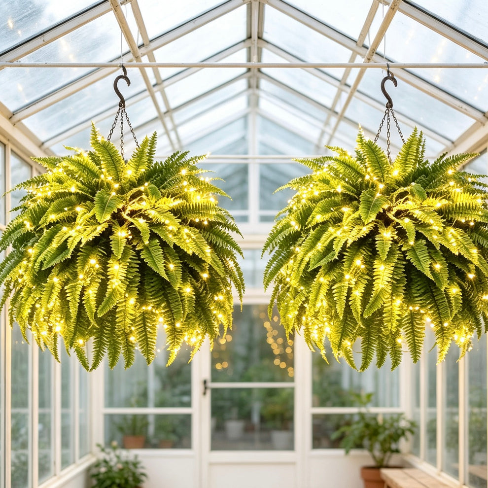🔥 Last Day Sale Price | Glowing Boston Ferns with Lights