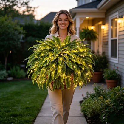 🔥 Last Day Sale Price | Glowing Boston Ferns with Lights