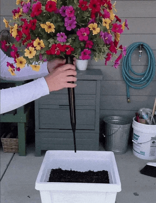 Outdoor Transformation
